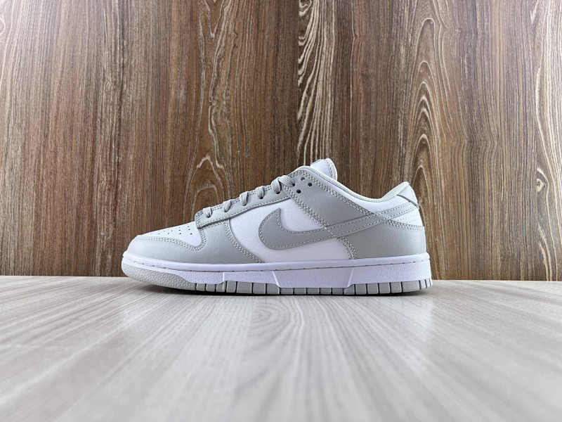 NIKE DUNK (17)