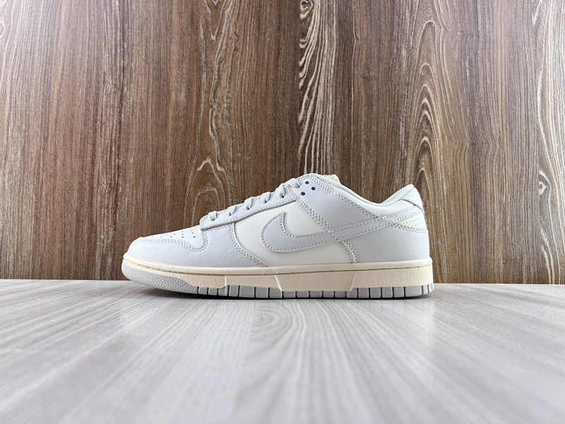 NIKE DUNK (19)