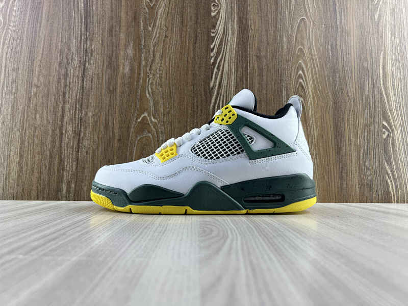 NIKE AIR JORDAN 4 (48)