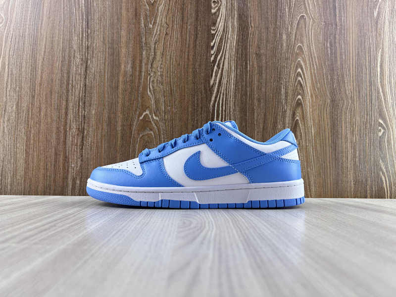 NIKE DUNK (15)