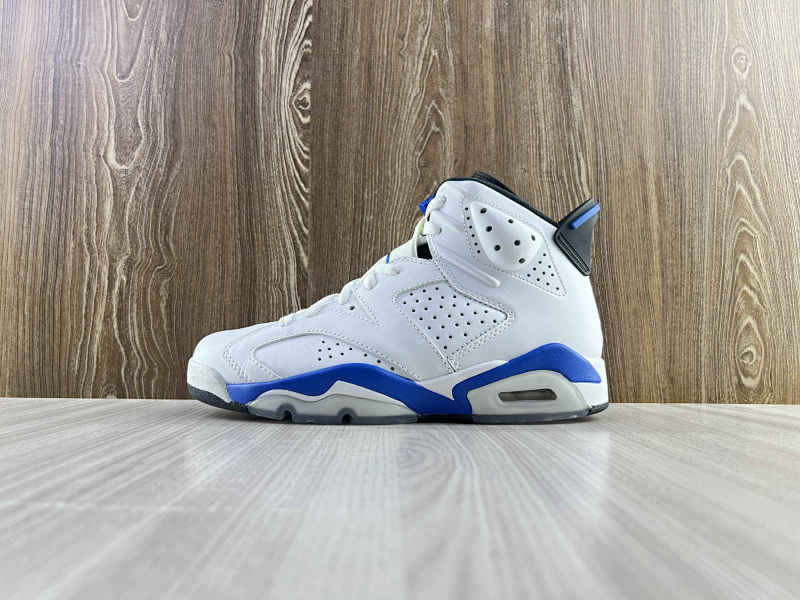 NIKE AIR JORDAN 6 (12)