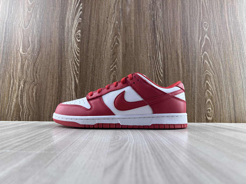NIKE DUNK (205)