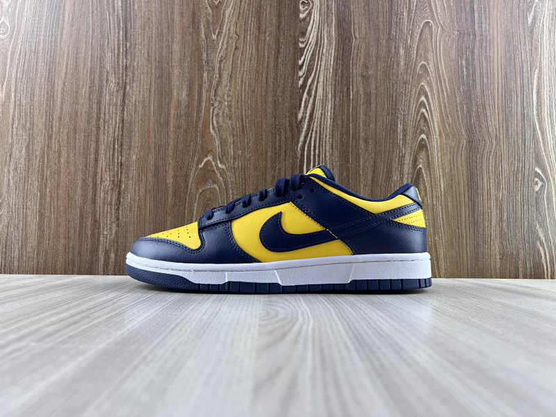 NIKE DUNK (20)