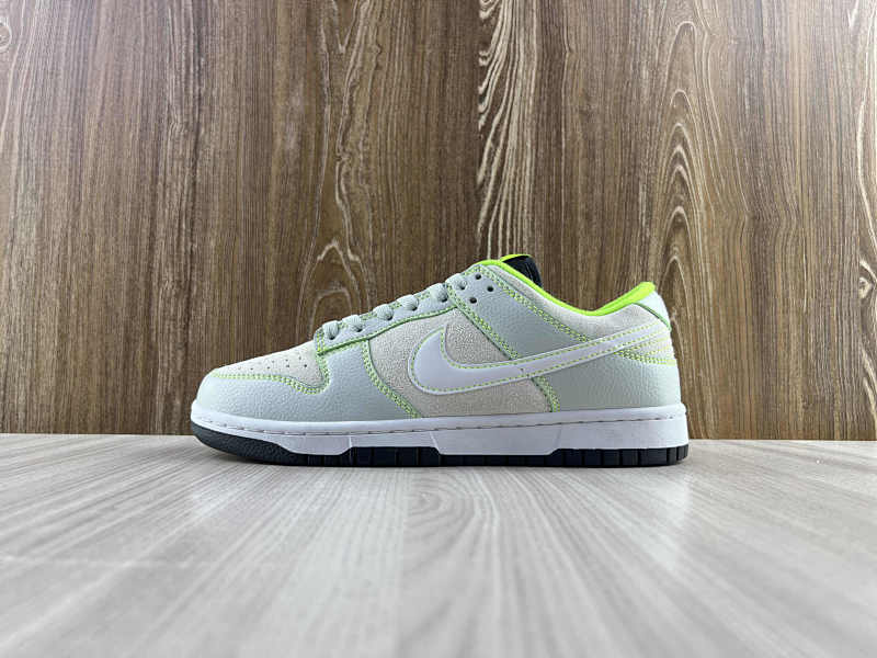 NIKE DUNK (289)
