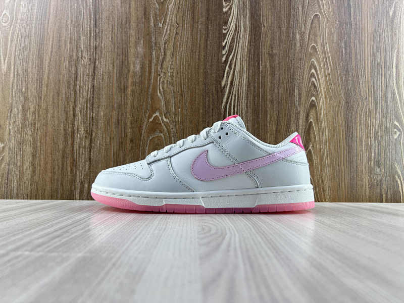 NIKE DUNK (310)
