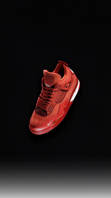 NIKE AIR JORDAN 4 (179)