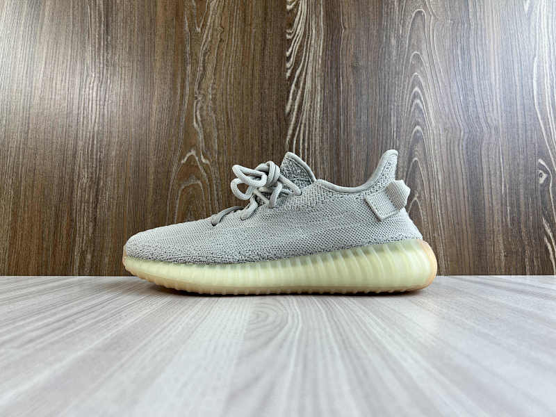 YEEZY 350 (21)