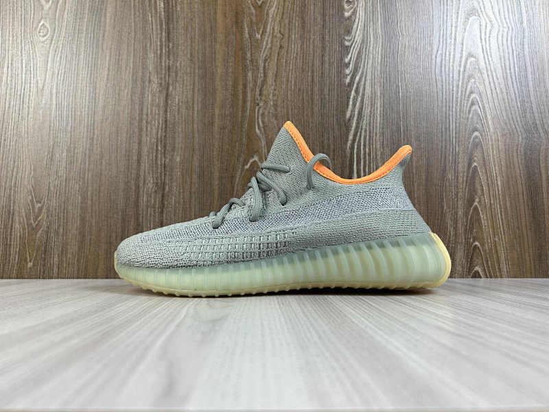YEEZY 350 (75)