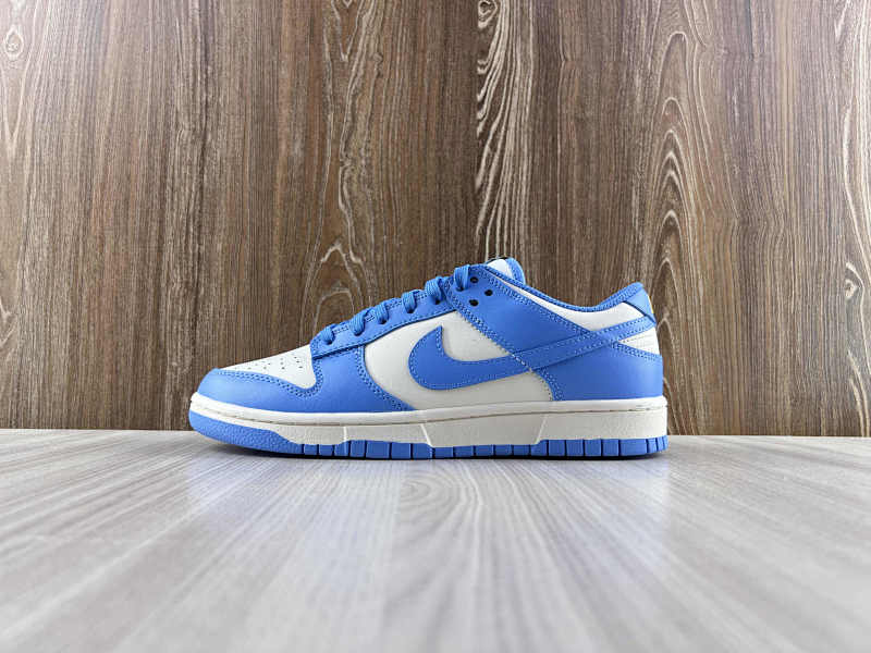 NIKE DUNK (25)