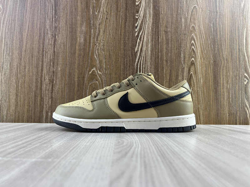 NIKE DUNK (248)
