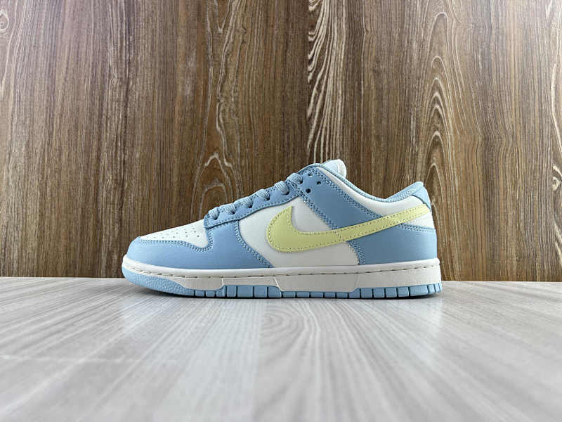 NIKE DUNK (242)