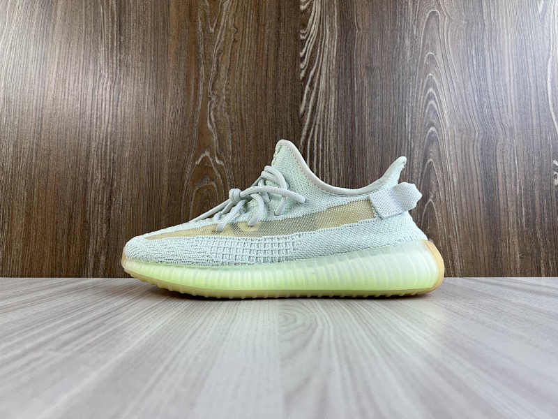 YEEZY 350 (34)