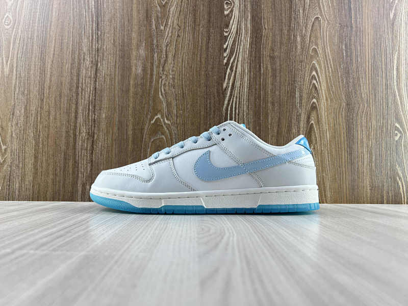 NIKE DUNK (301)