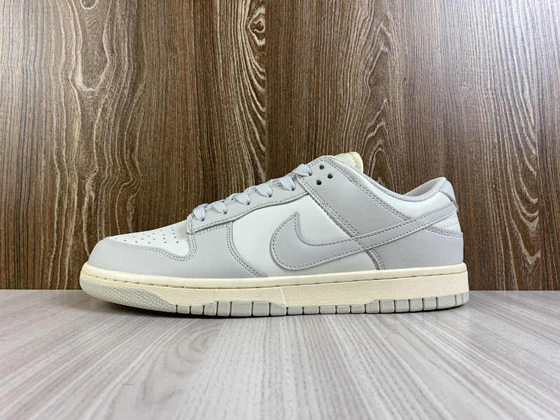 NIKE DUNK (51)