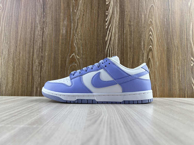 NIKE DUNK (255)