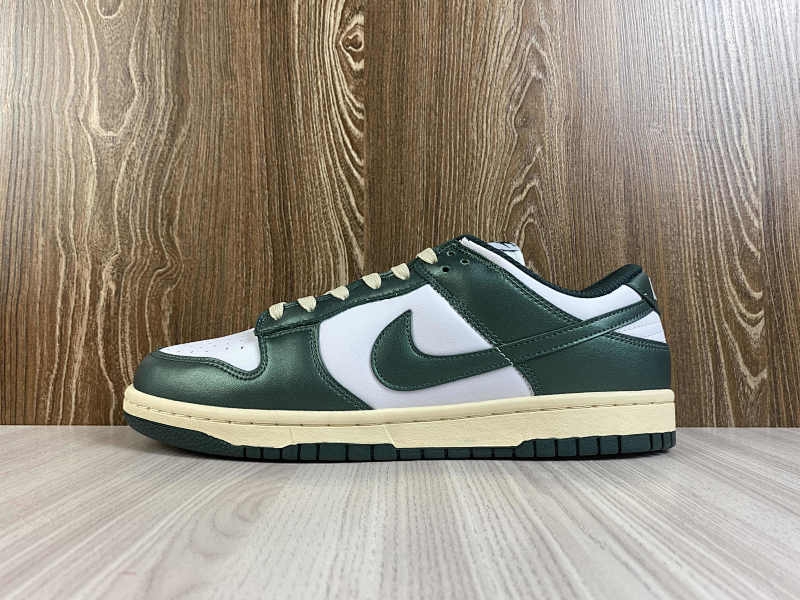 NIKE DUNK (50)