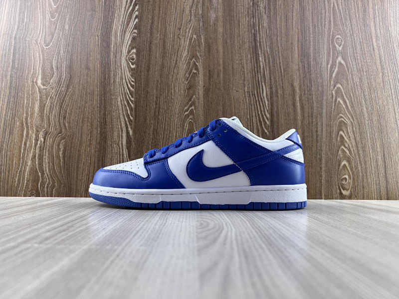 NIKE DUNK (194)