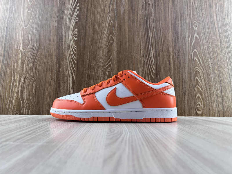 NIKE DUNK (204)