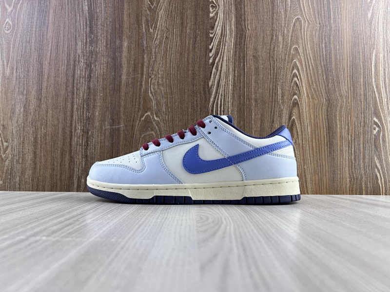 NIKE DUNK (209)