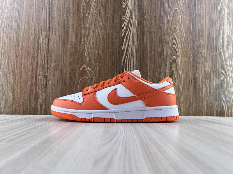 NIKE DUNK (10)