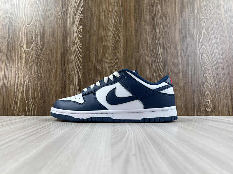 NIKE DUNK (139)