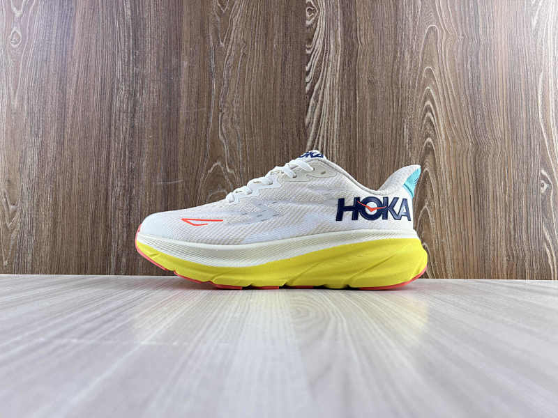 HOKA SHOES (28)