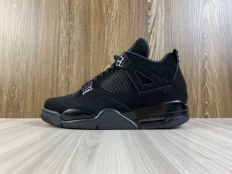 NIKE AIR JORDAN 4 (157)