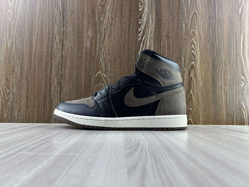 NIKE AIR JORDAN 1 HIGH (21)