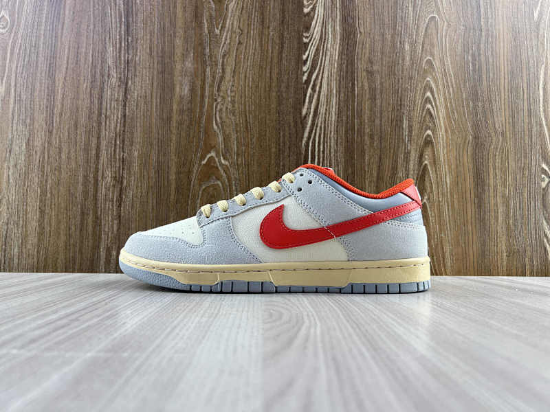 NIKE DUNK (291)