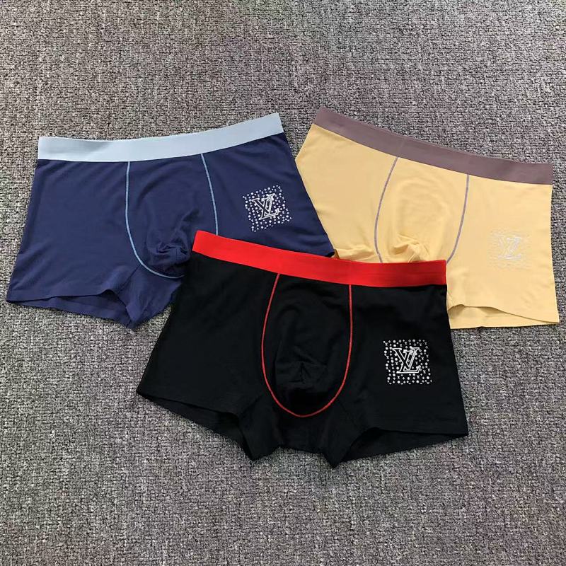 LOUIS VUITTON UNDERWEAR (4)