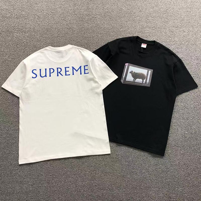 SUPREME TSHIRTS (53)