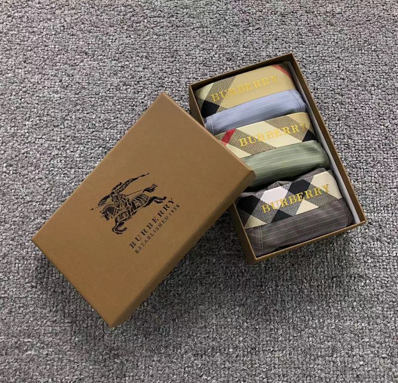 BURBERRY UNDERWEAR (2)