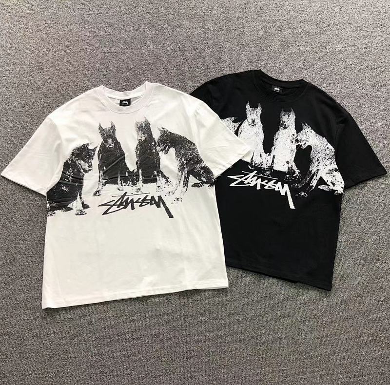 STUSSY TSHIRTS (19)