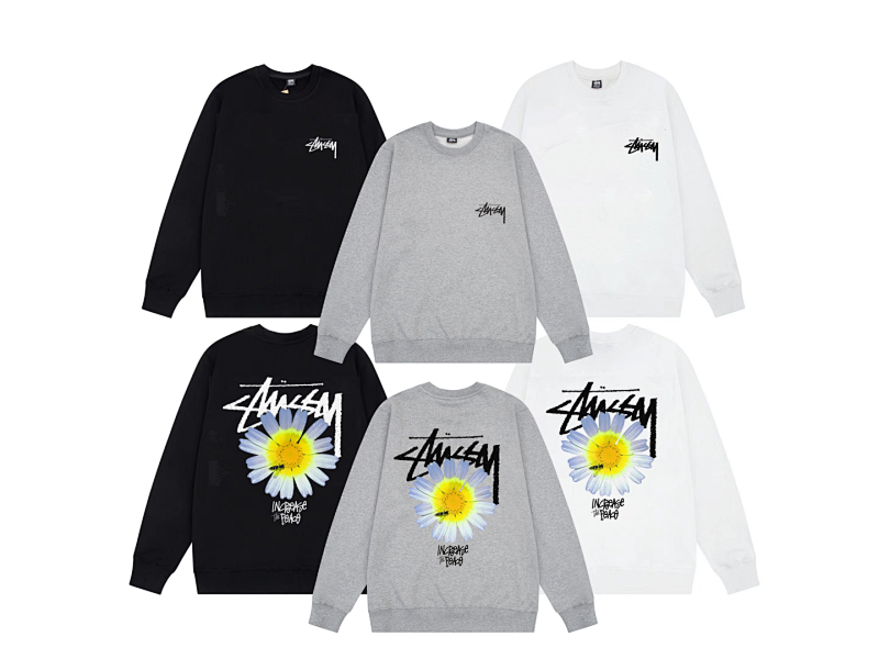 STUSSY HOODIES (221)