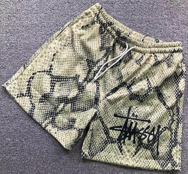STUSSY SHORTS (77)
