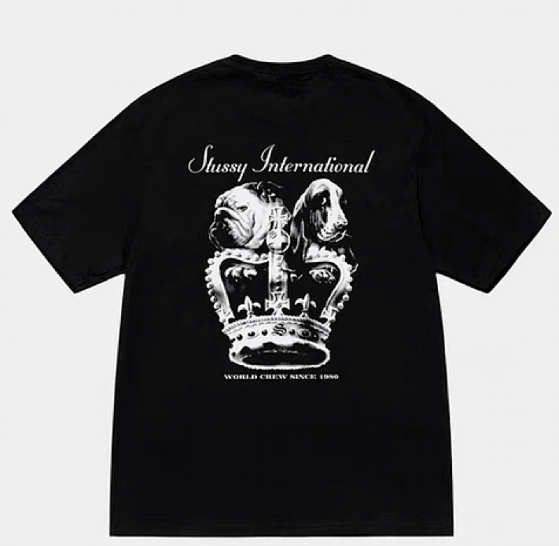 STUSSY TSHIRTS (20)