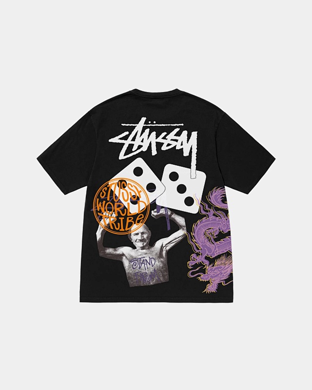 STUSSY TSHIRTS (67)