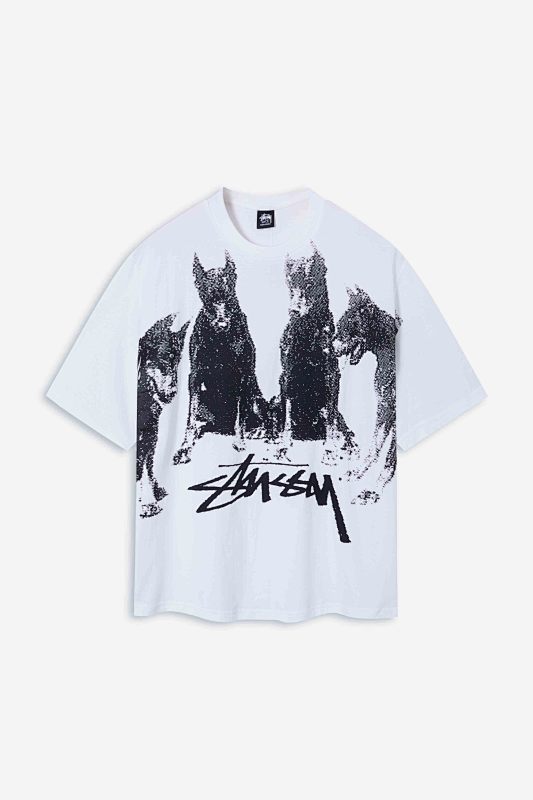 STUSSY TSHIRTS (61)