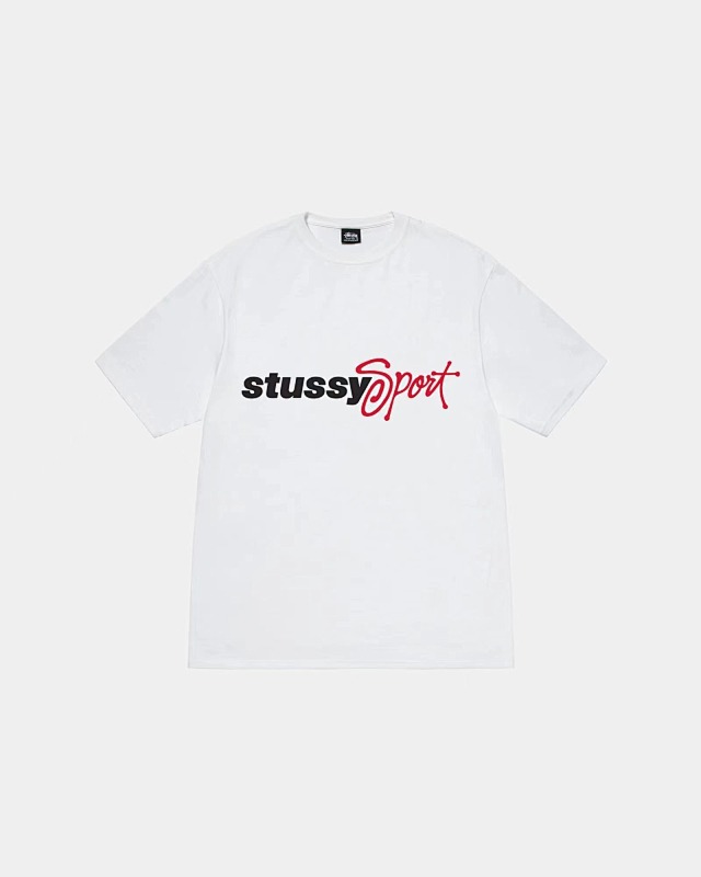 STUSSY TSHIRTS (43)