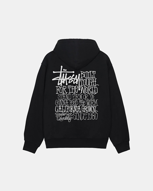 STUSSY HOODIES (10)