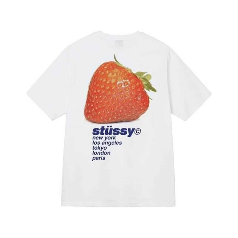 STUSSY TSHIRTS (126)