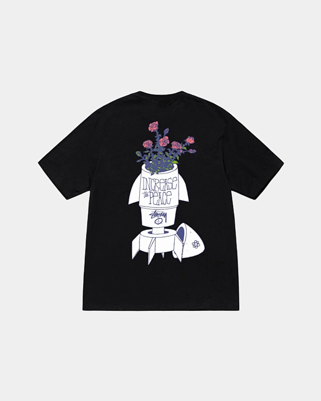 STUSSY TSHIRTS (85)