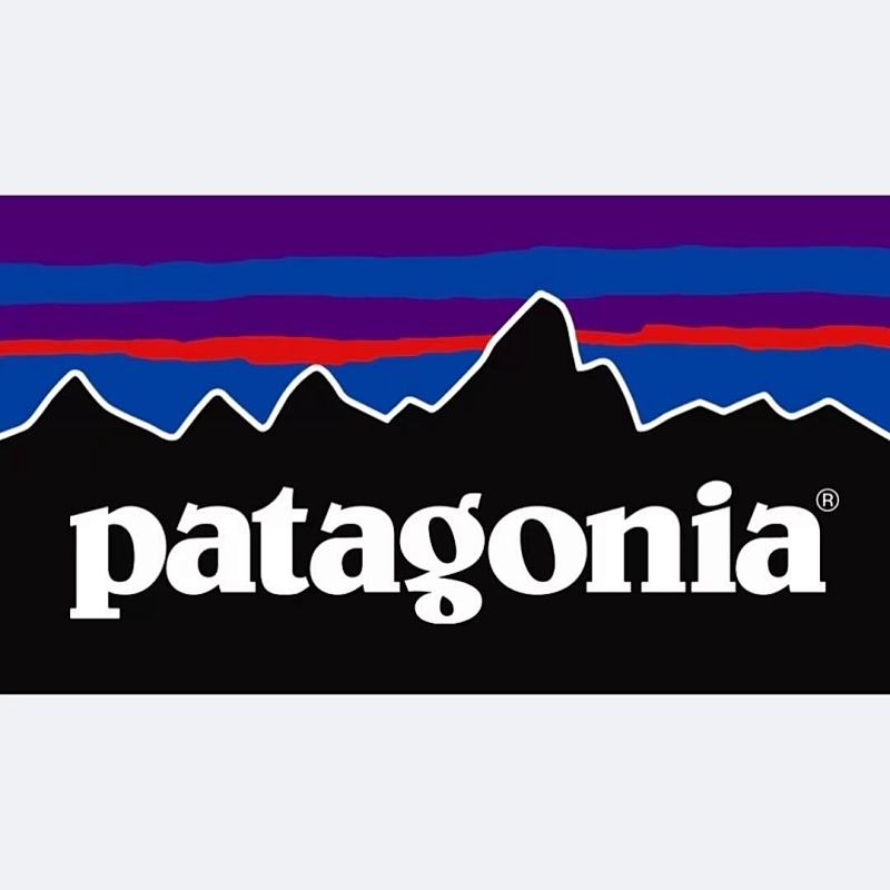 PATAGONIA TSHIRTS (192)