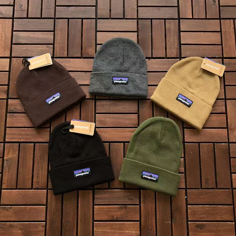 PATAGONIA TSHIRTS (126)
