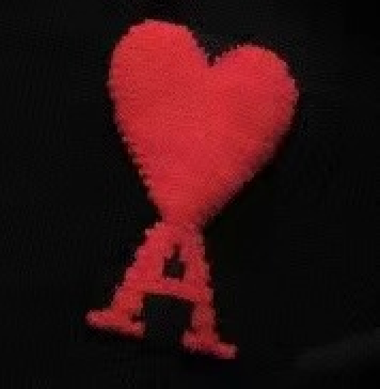 AMI TSHIRTS (245)