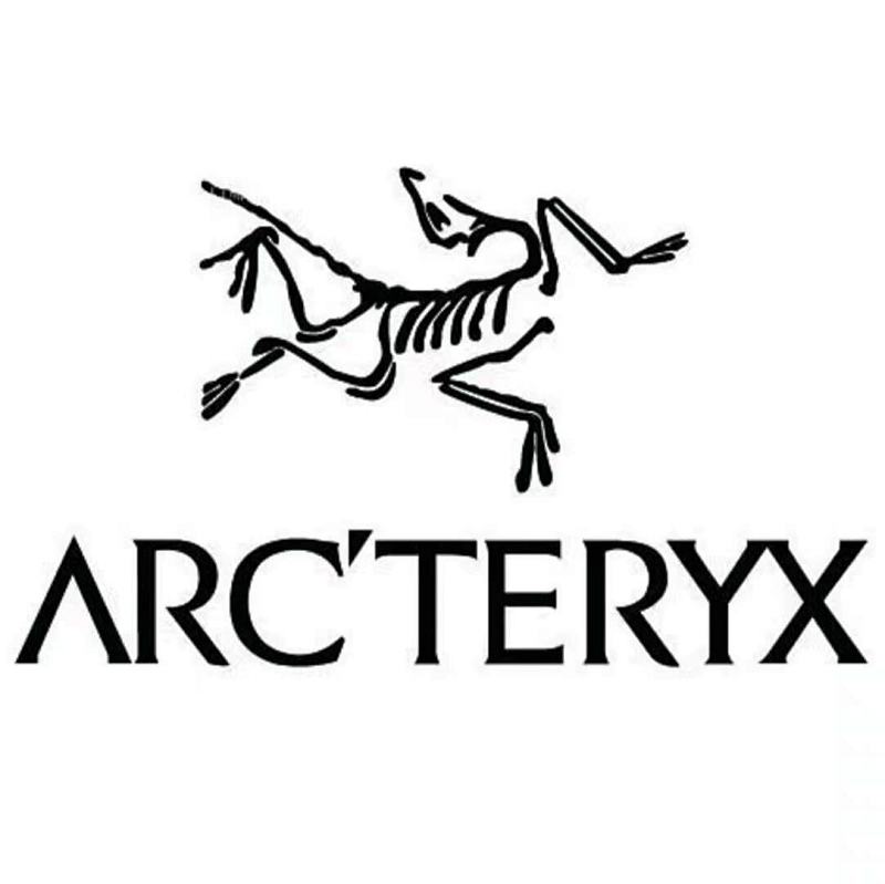 ARCTERYX HIKING_BOOTS