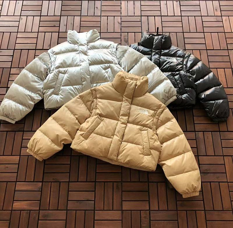THE NORTH FACE TSHIRTS (225)