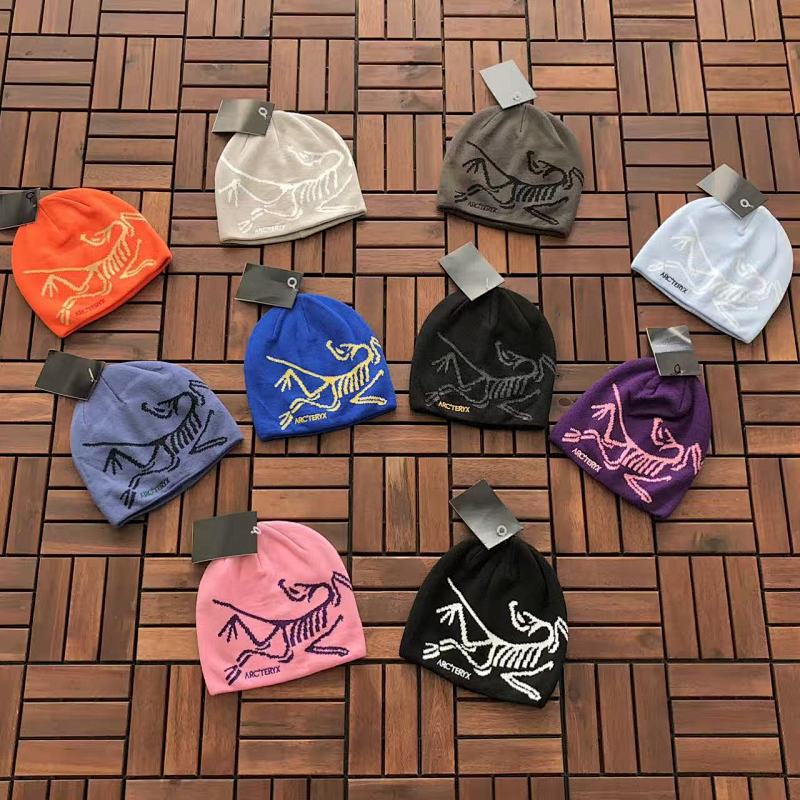ARC TERYX TSHIRTS (304)