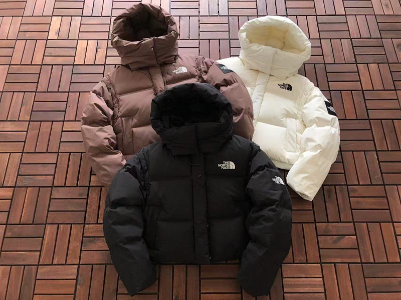THE NORTH FACE TSHIRTS (222)