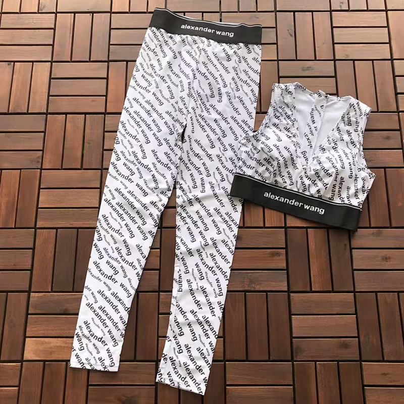 ALEXANDER WANG TSHIRTS (25)
